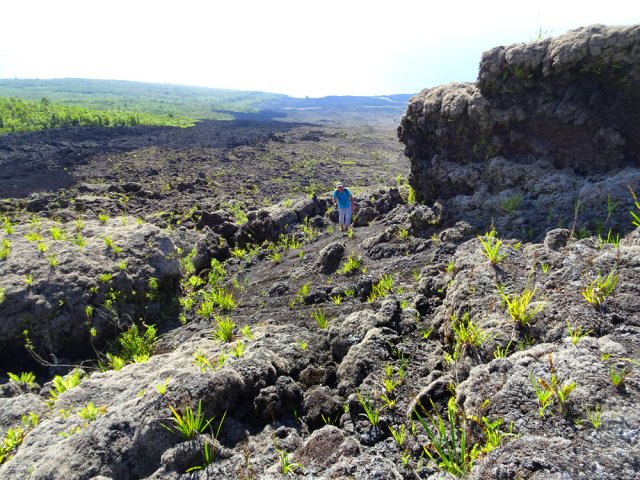 La montée, un peu raide n'impose que peu d'efforts