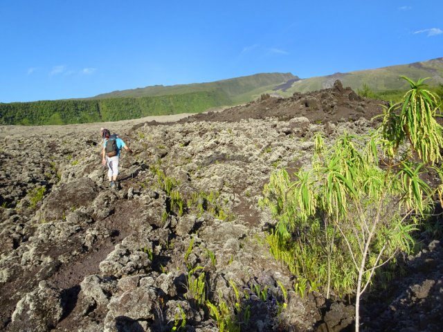 On s'approche de la coulée de 2021