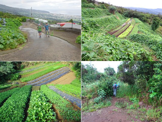Les 500 premiers mètres grimpent déjà fortement à travers champs