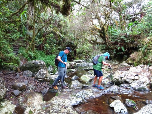 Il faudra passer à gué trois ravines avant de retrouver la route forestière