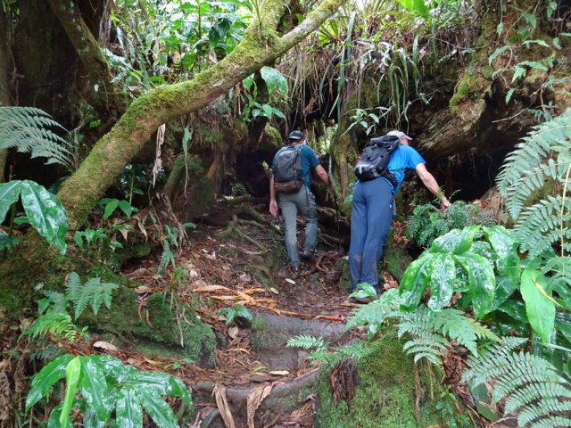 Un sentier pour amateurs de mastodontes terrassés mais encore vivants