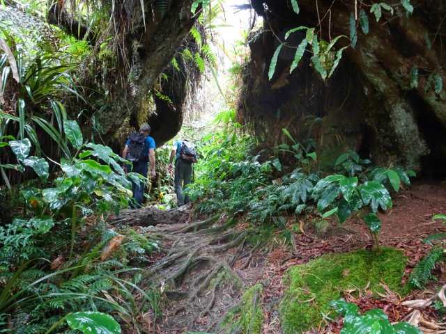 Certaines carcasses peuvent abriter plusieurs personnes