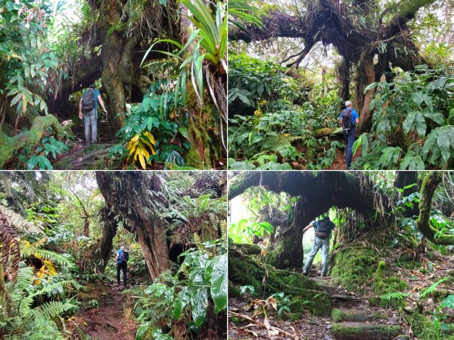 Les amateurs de photos prévoiront 2 heures supplémentaires !!