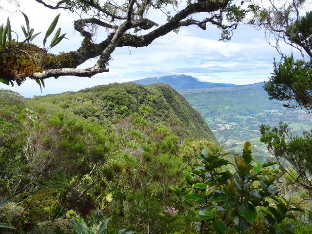 On s'approche du Piton Bémassoune en longeant le rempart