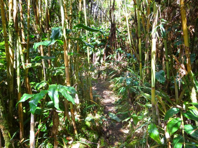 Les calumets sont bien plus fréquents que dans la montée