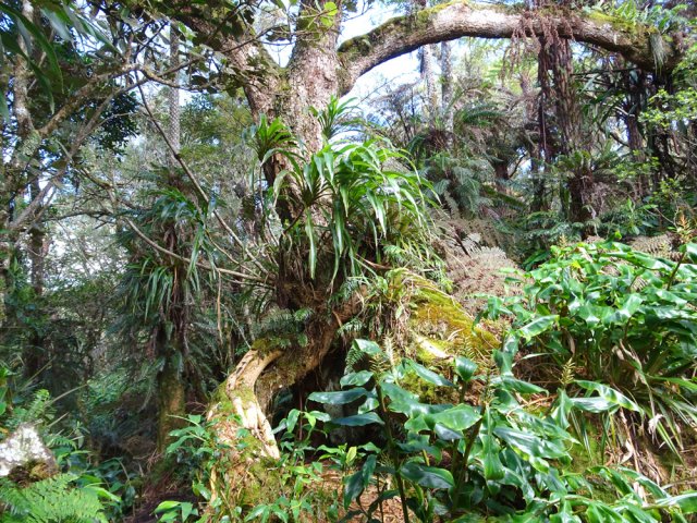 Le sentier est plus étroit mais la nature toujours aussi belle