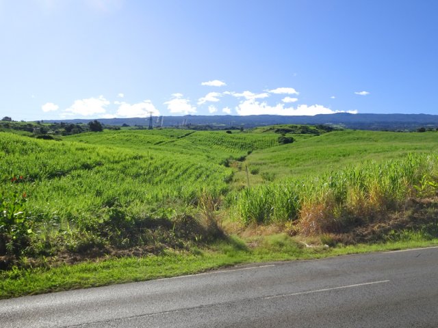 Traversée du Chemin d'Eau (D6)