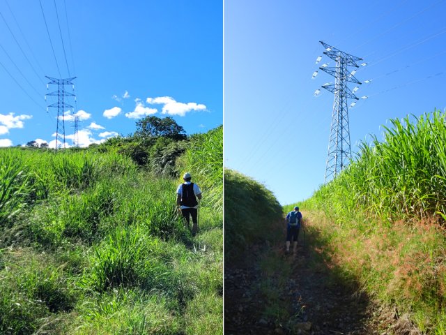 On suivra la ligne haute tension une moitié de la montée