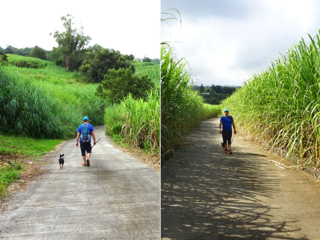 On repose les jambes dans la descente du Chemin Sadeyen