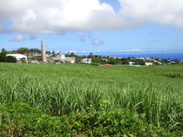 On s'approche de la Saline qu'on devine à sa haute cheminée