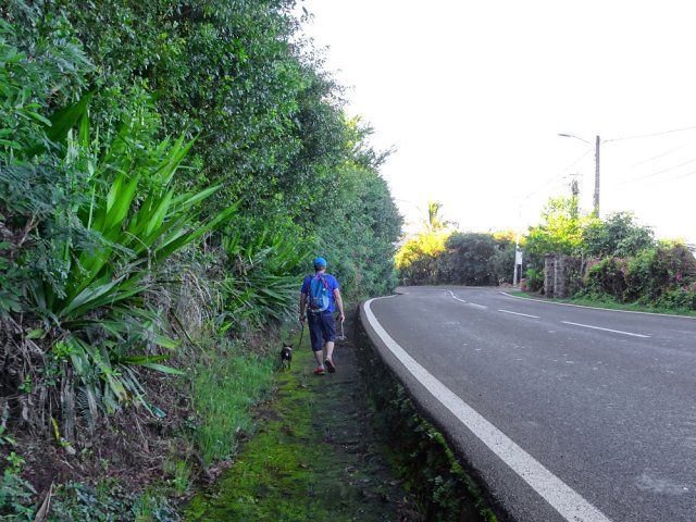Le caniveau est très pratique pour éviter goudron et circulation
