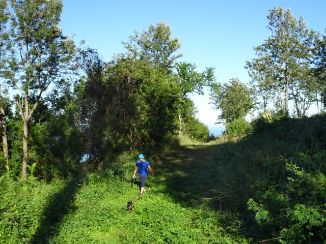Dernière portion campagnarde avant de retrouver les rues
