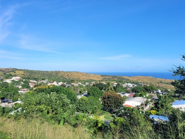 Coup d’œil sur la Savane du Cap La Houssaye