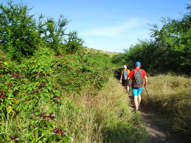 C'est parti pour une longue traversée de la Savane du Cap La Houssaye