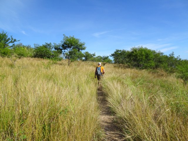 La savane est un paysage unique à La Réunion