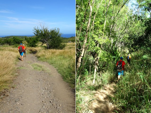 On traverse des zones désertiques comme des portions boisées le long des ravines