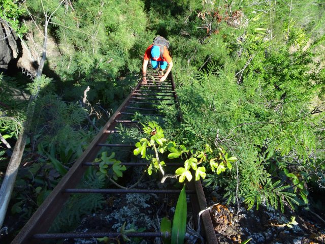 Les rails sont encore solides mais les barreaux commencent à vieillir