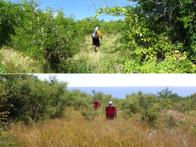 Il faut beaucoup d'imagination pour deviner l'ancienne piste