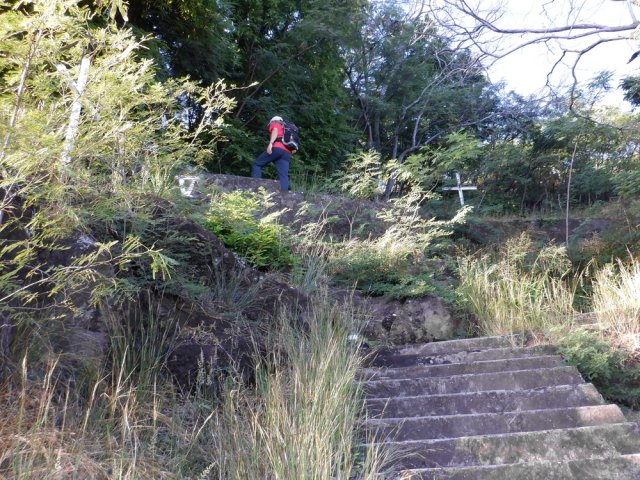 On parvient ainsi très vite au plateau dominant la ville