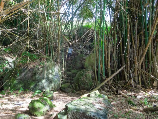 Forte descente entre champs et Pointe Corail