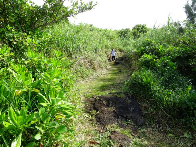 Les passages sur l'herbe sont fréquents