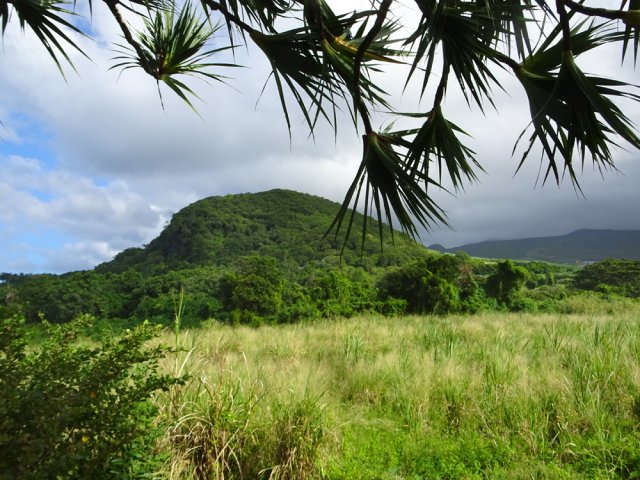 On se rapproche du Piton de Bellevue