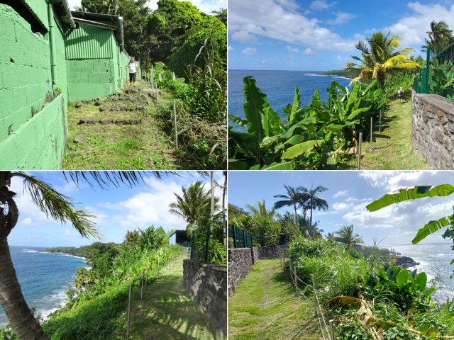 Le magnifique sentier après avoir contourné la Ravine Glissante