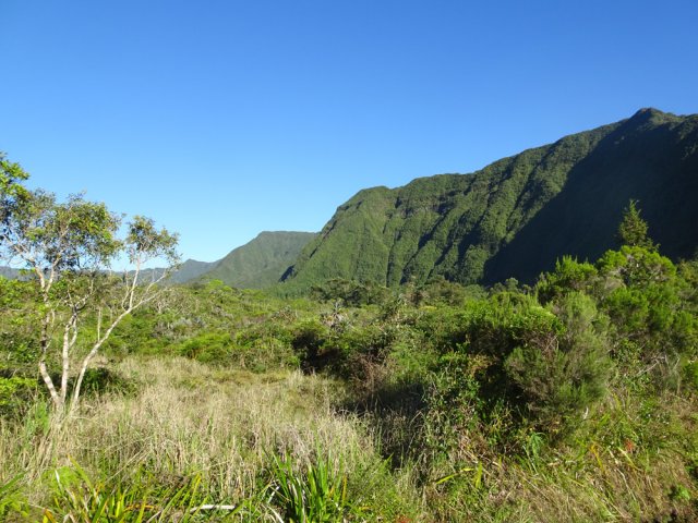 Zone marécageuse à l'approche de l'Ancienne Nationale