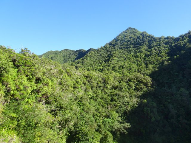Les Mornes de l'Etang dominent aussi le bassin d'eau noire