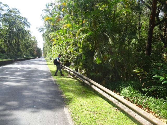 Traverser la route et poursuivre en passant par les palmistes