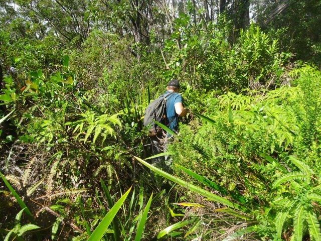 La jonction avec le Grand Bras Piton demande un peu d'attention