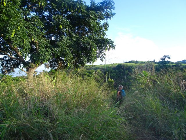 Poursuivre jusqu'au bois noir esseulé puis partir à gauche