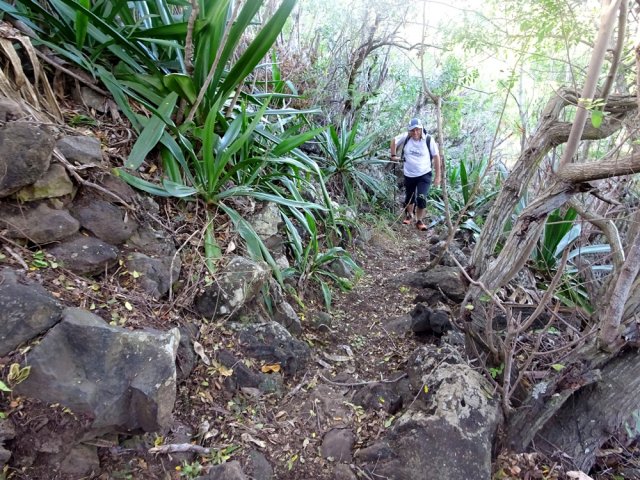 Un sentier classique de la Région de La Saline