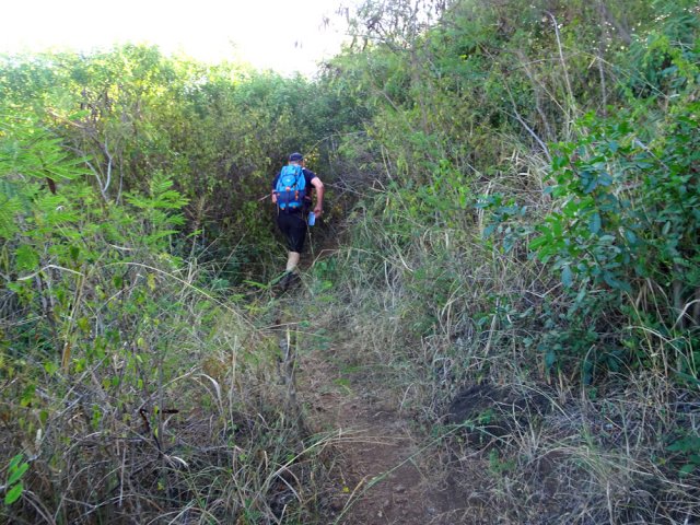 On retrouve de nouveaux sentiers toujours faciles à deviner
