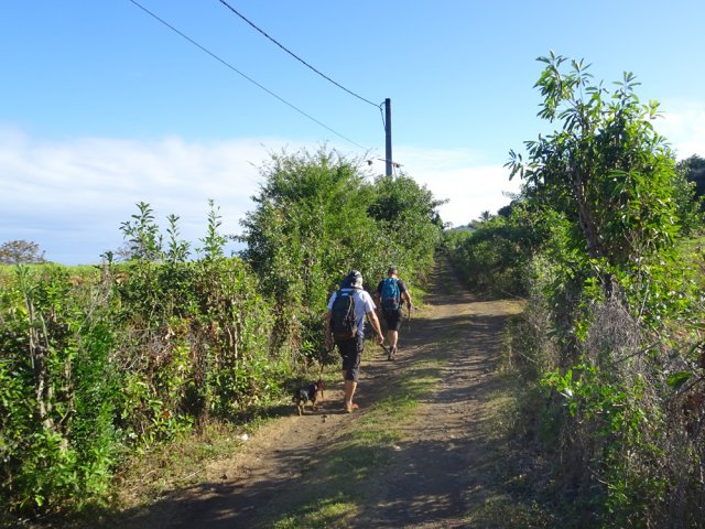 Nouvelle piste agréable entre cultures et jardins