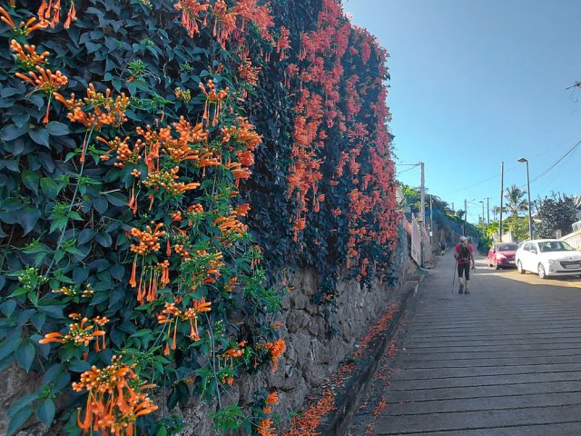 Très forte montée de la Rue Célestin