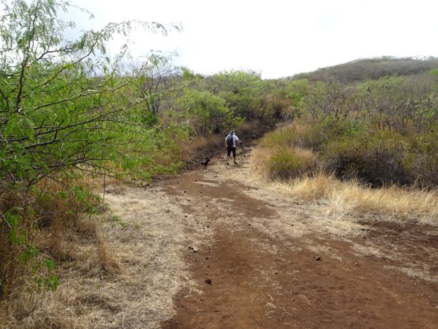 C'est le début d'une longue montée dans les cailloux