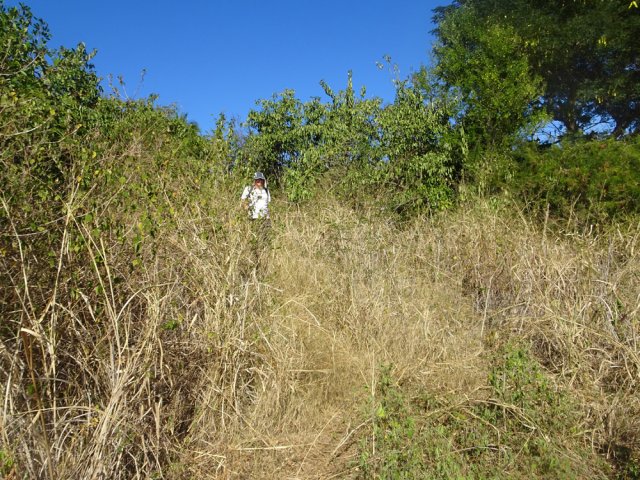 Le discret raccourci encombré à trouver Rue Salomon