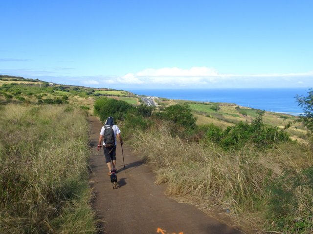 Longue succession de pistes pour revenir vers la Route des Tamarins