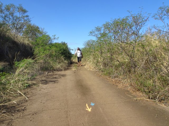 Les flèches de couleurs des courses régionales guident en cas de doute