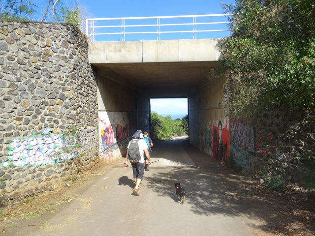 Deuxième franchissement de la Route des Tamarins