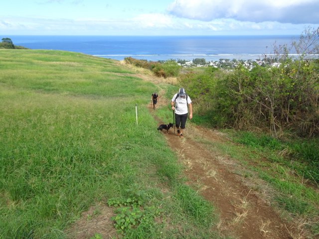 Cheminement entre prairie et Ravine de La Saline