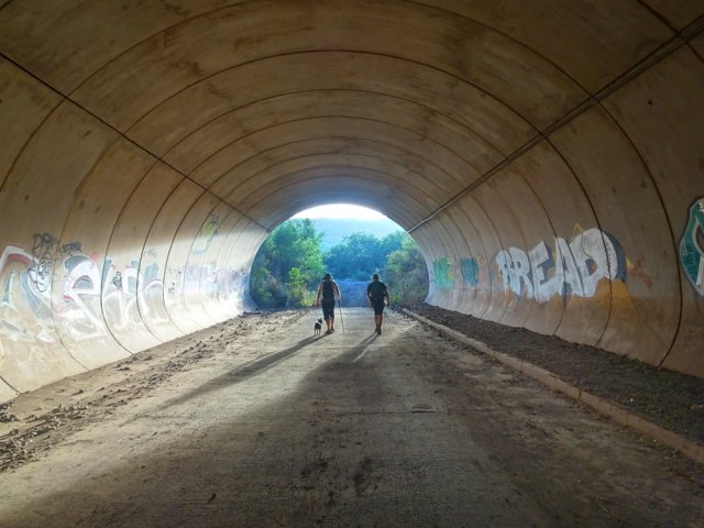 Premier tunnel pour franchir la Route des Tamarins