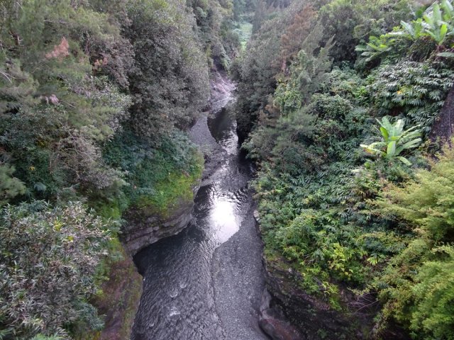Apprécier le niveau d'eau de la rivière depuis le pont de l'Escalier