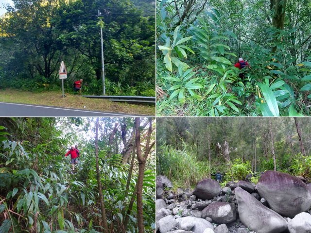 Le sentier discret des pêcheurs descendant vers la rivière