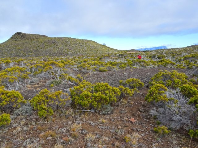Délaisser le 2399 et rejoindre le sentier de l'Oratoire Ste-Thérèse