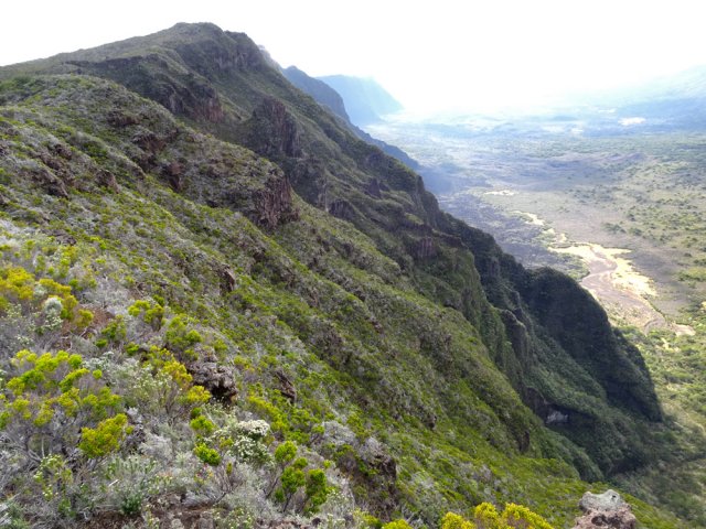 Belles vues plongeantes sur le Piton et le Fond de la Rivière de l'Est