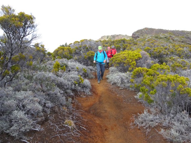 On peut, ou non, emprunter un court tronçon du sentier vers le Piton de l'Eau