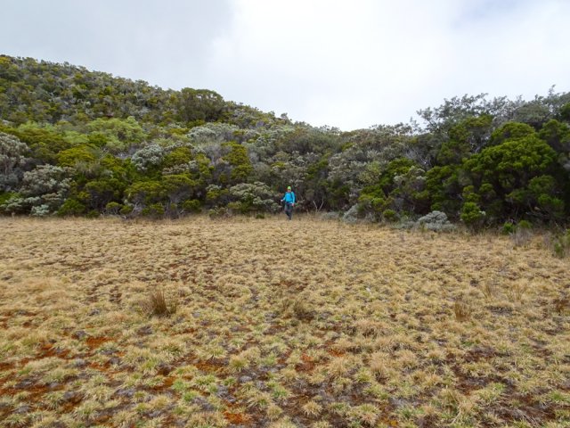 Le cœur du cratère se prête au bivouac si les bovins n'en ont pas pris possession