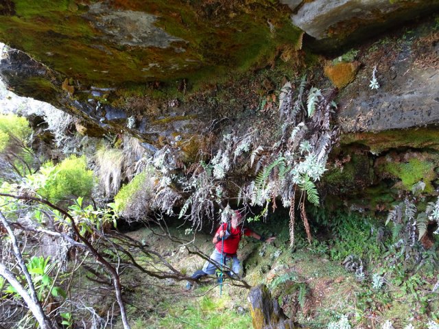 Il faut monter d'une dizaine de mètres pour atteindre cette longue caverne